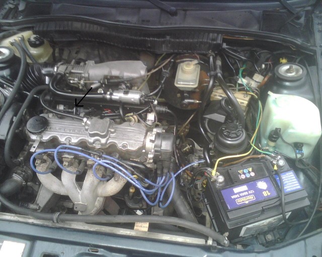img00076lw3.jpg