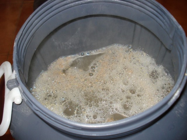 DSC05394.JPG