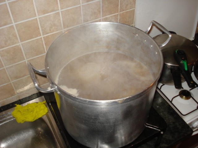 DSC05409.JPG