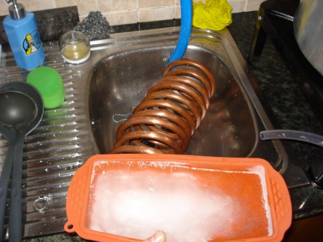 DSC05412.JPG
