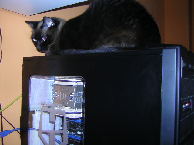 DSCN2579.JPG