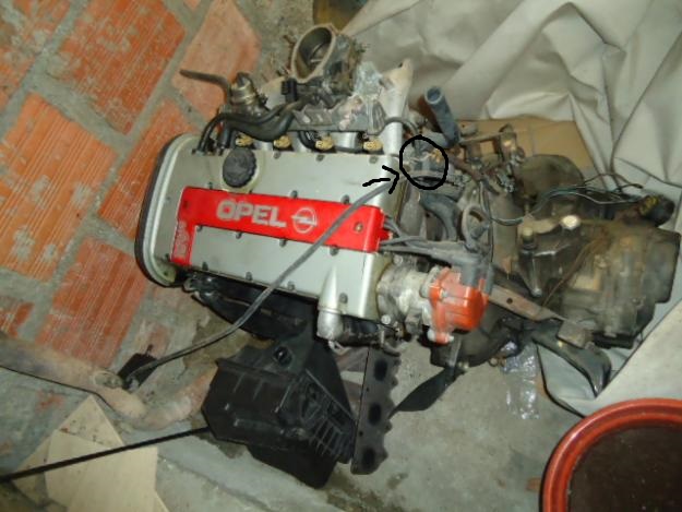 calibra-20-16v-mot-b8026.jpg
