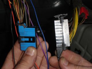 X19 y X20 CC.jpg