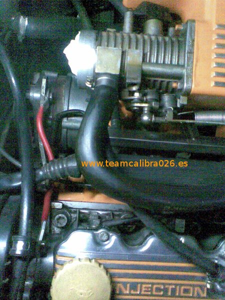Imagen011.jpg