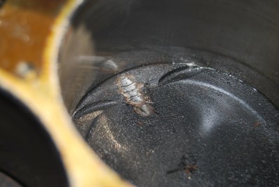 DSC_0249.JPG